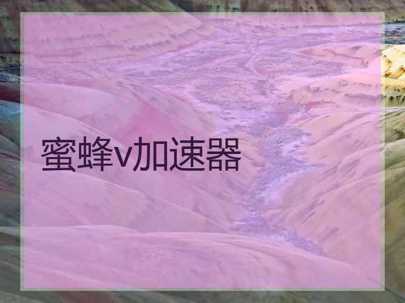 蜜蜂v加速器