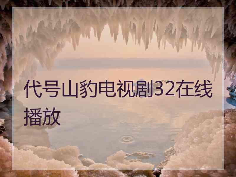 代号山豹电视剧32在线播放