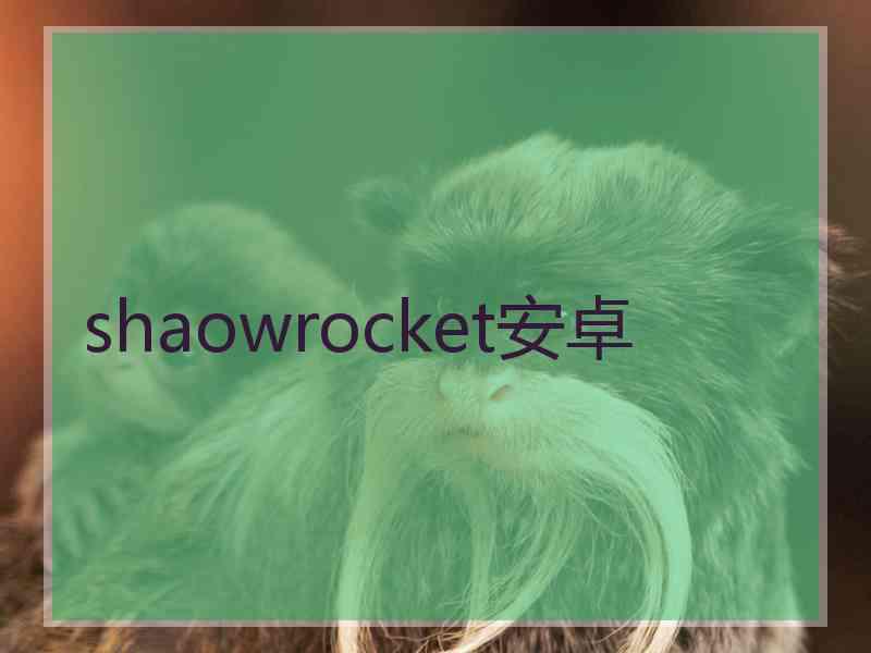 shaowrocket安卓