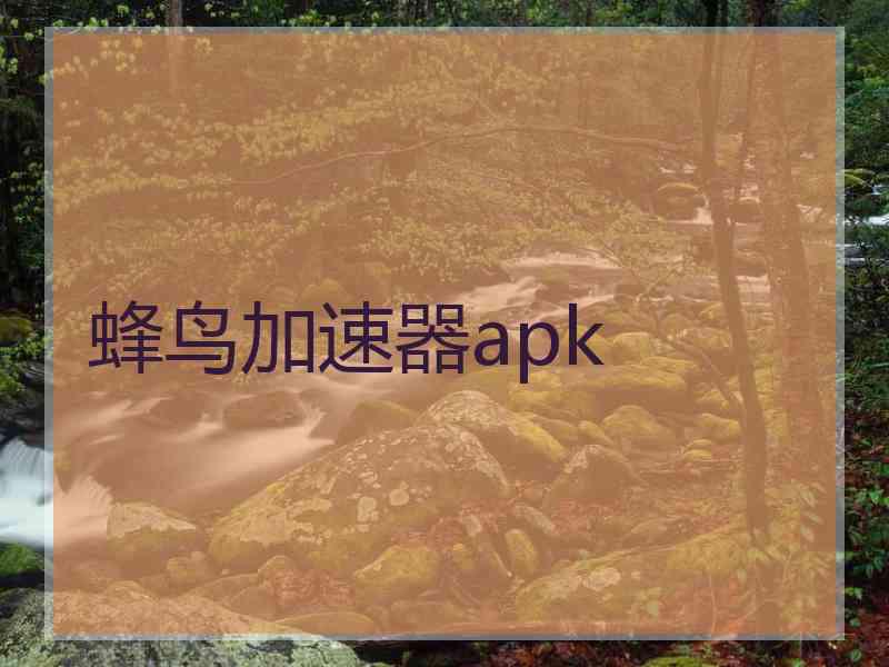 蜂鸟加速器apk