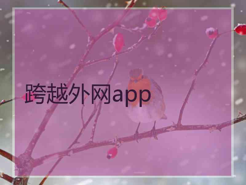 跨越外网app