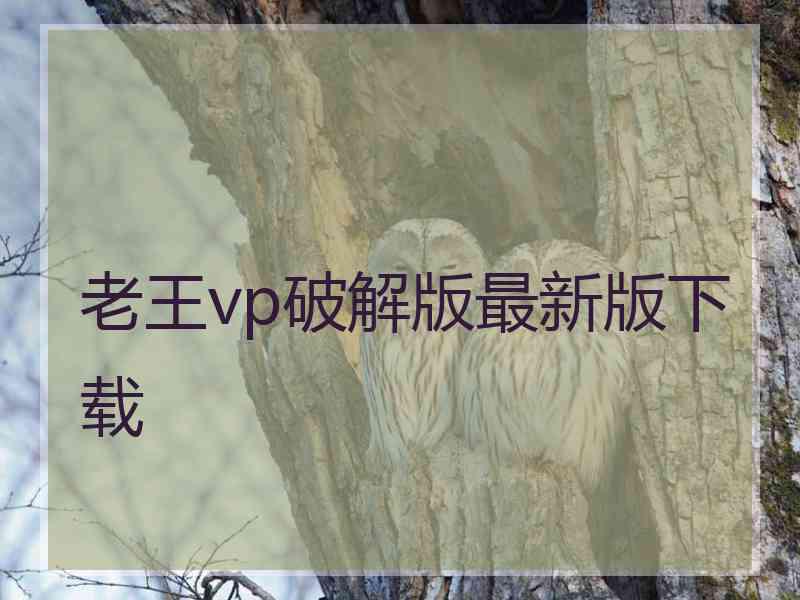 老王vp破解版最新版下载