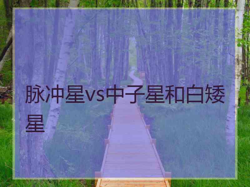 脉冲星vs中子星和白矮星