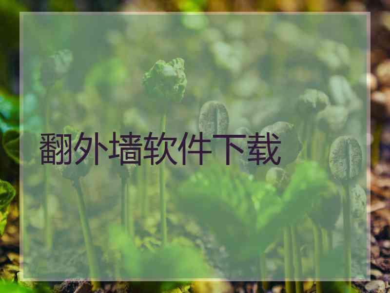 翻外墙软件下载