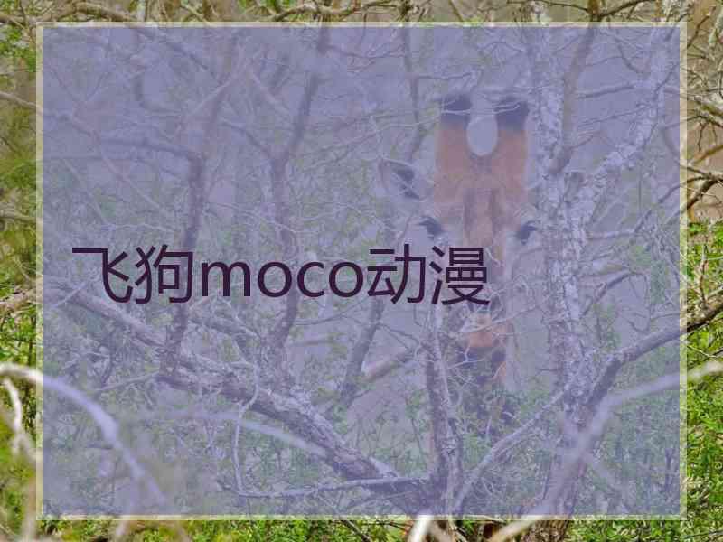 飞狗moco动漫