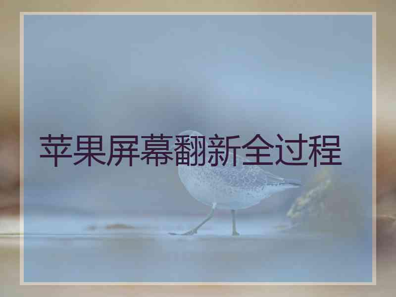 苹果屏幕翻新全过程