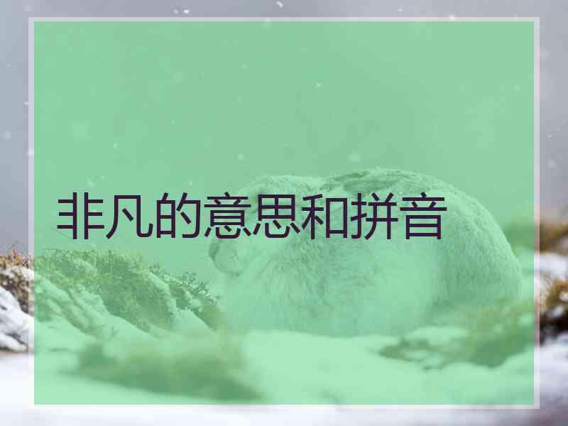 非凡的意思和拼音