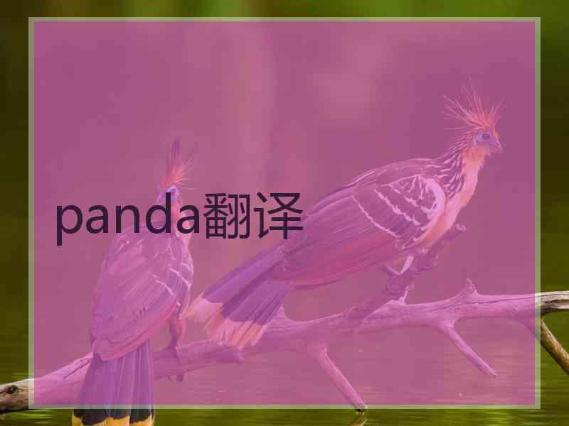 panda翻译