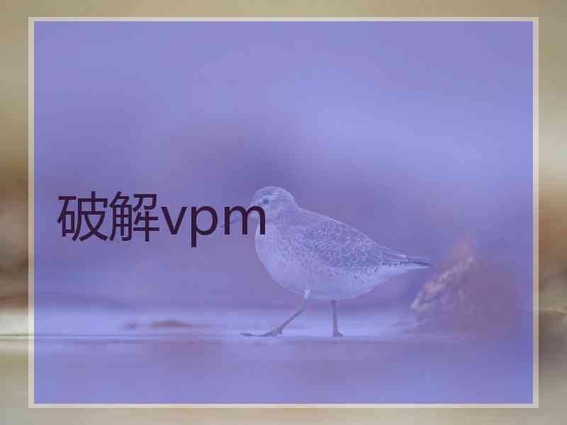 破解vpm