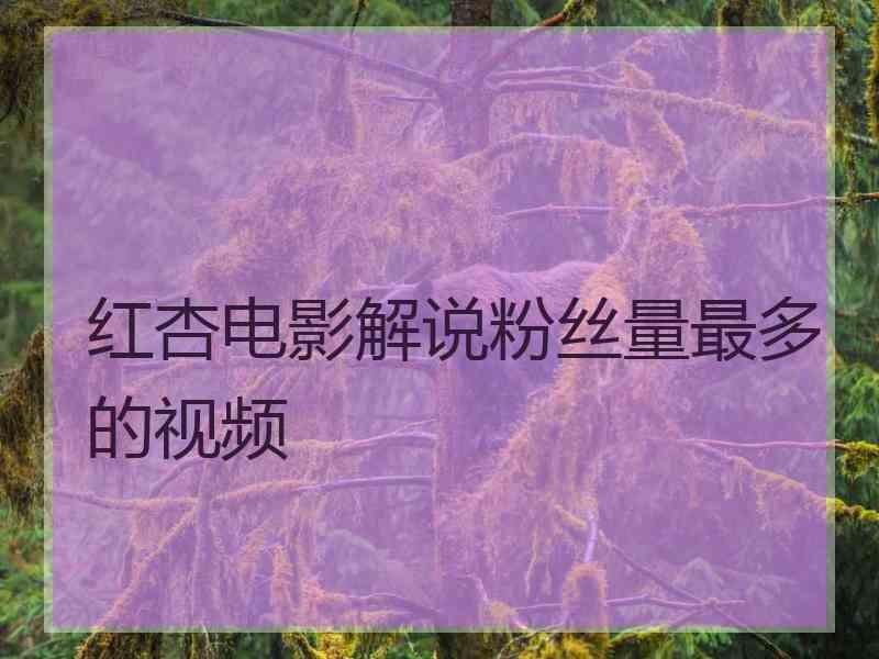 红杏电影解说粉丝量最多的视频