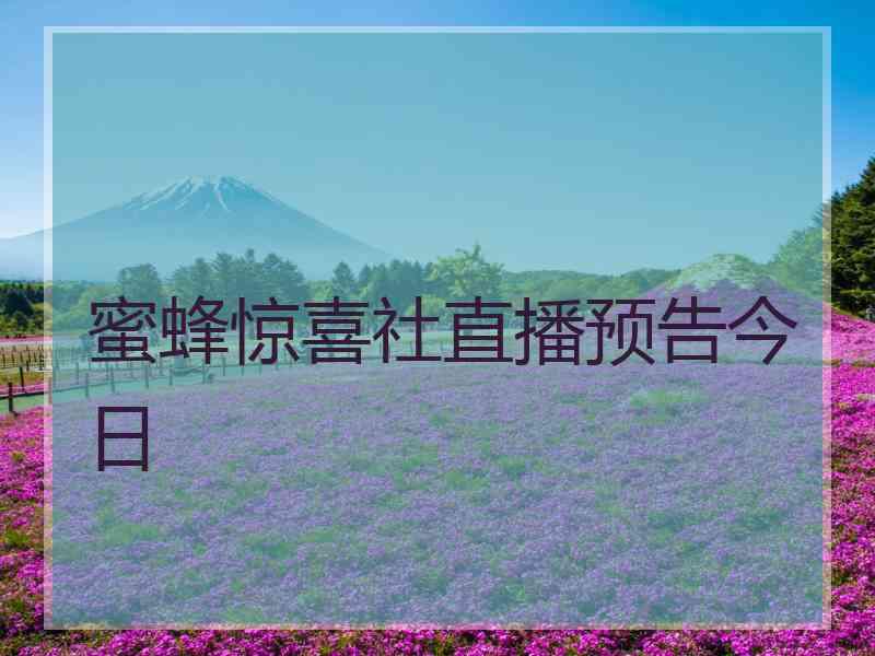 蜜蜂惊喜社直播预告今日