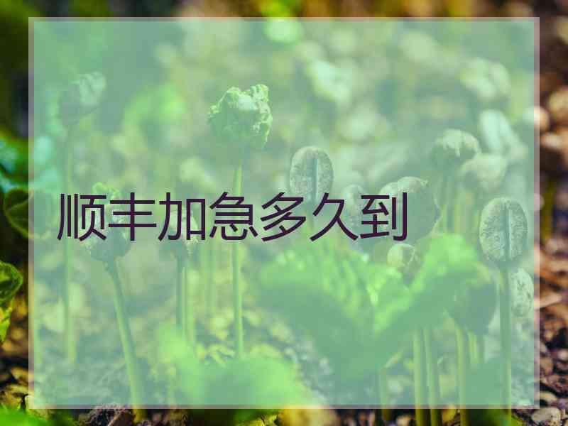 顺丰加急多久到