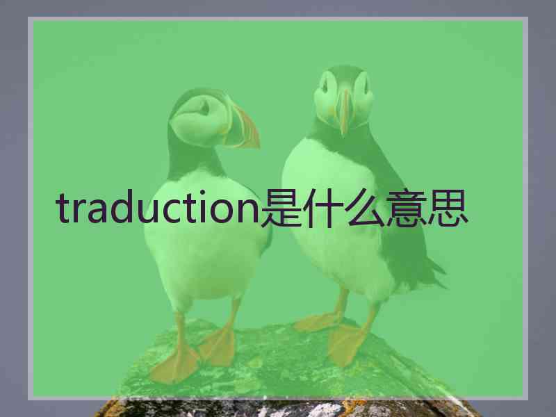 traduction是什么意思