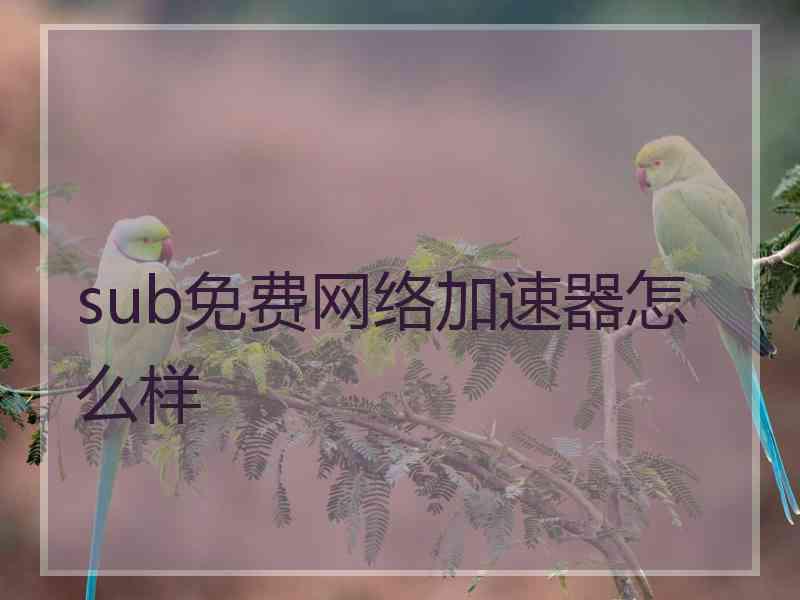 sub免费网络加速器怎么样