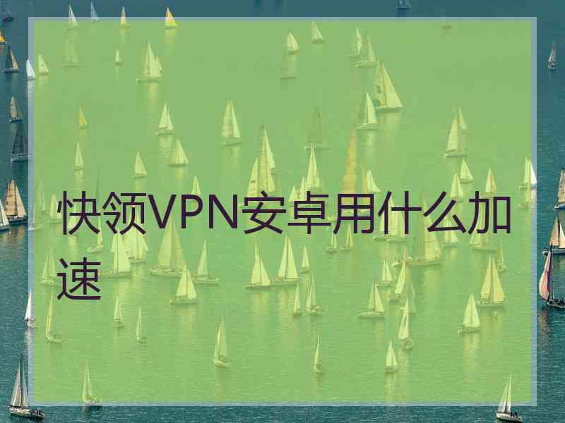 快领VPN安卓用什么加速