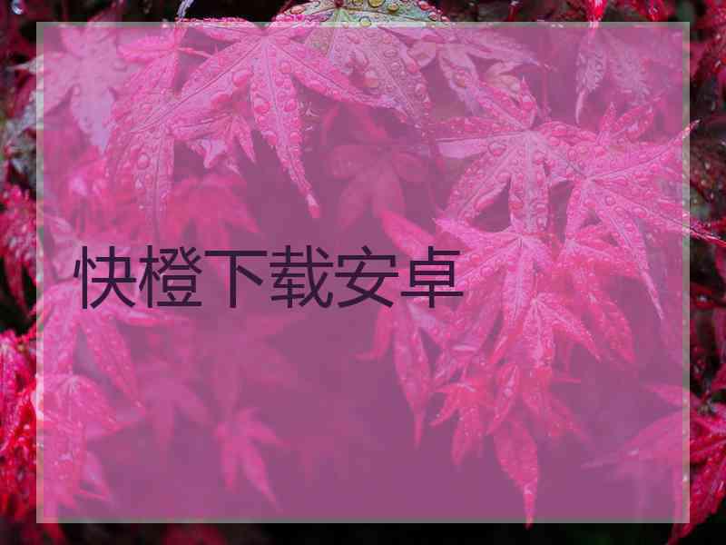 快橙下载安卓