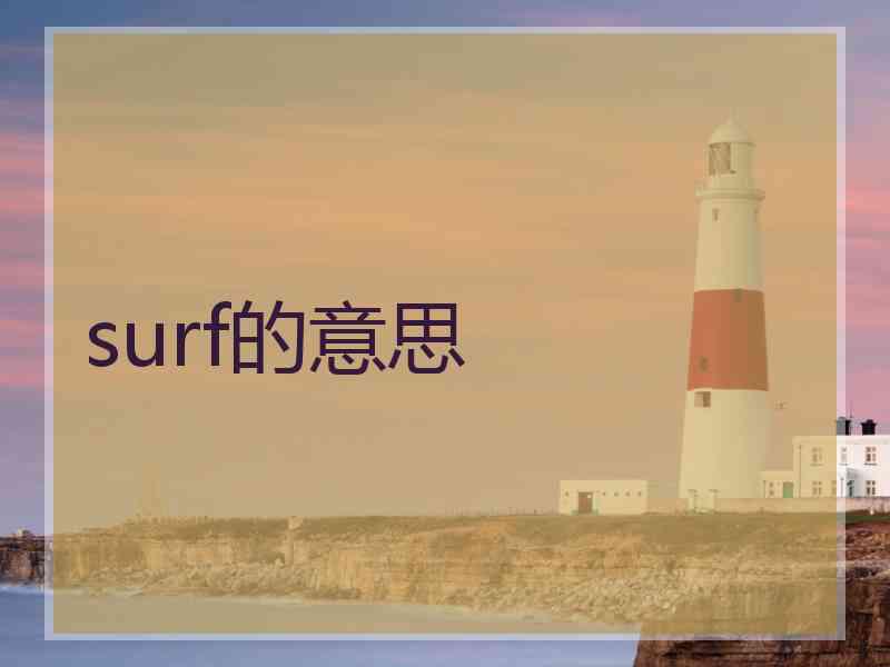 surf的意思