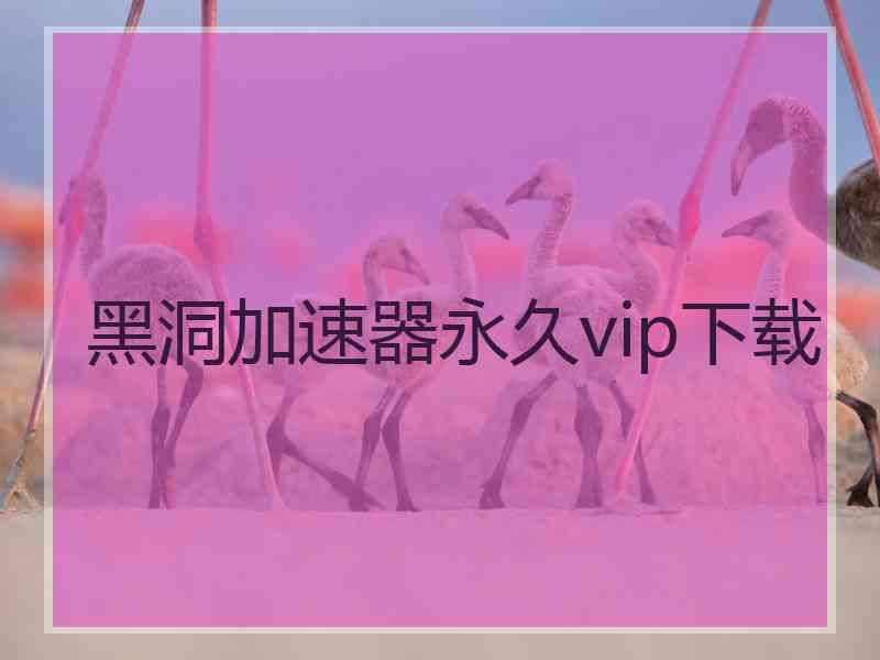 黑洞加速器永久vip下载