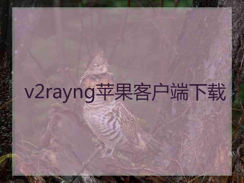 v2rayng苹果客户端下载