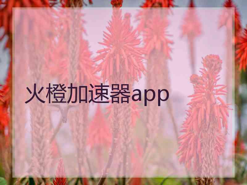 火橙加速器app