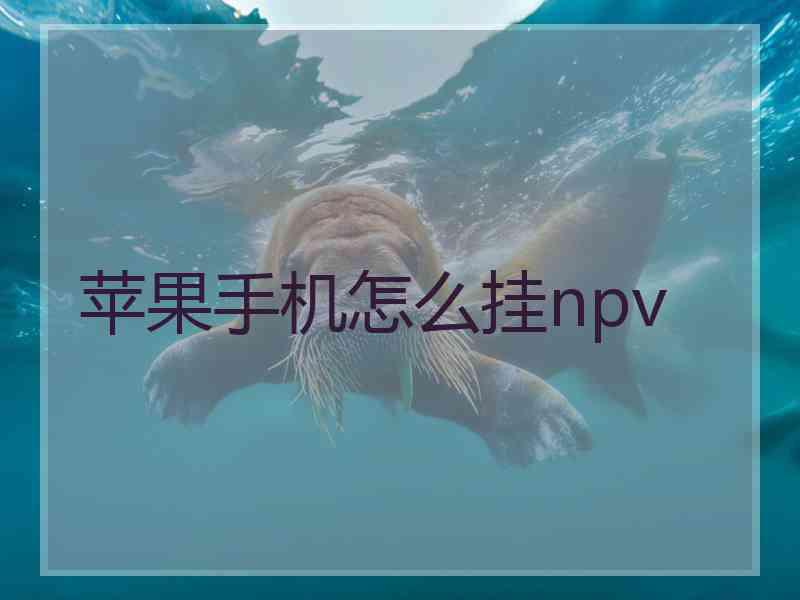 苹果手机怎么挂npv