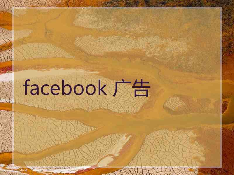 facebook 广告