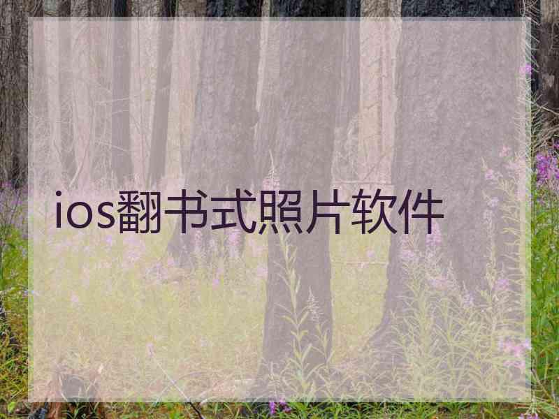 ios翻书式照片软件