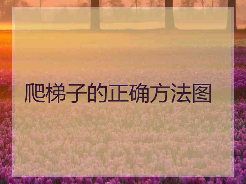 爬梯子的正确方法图