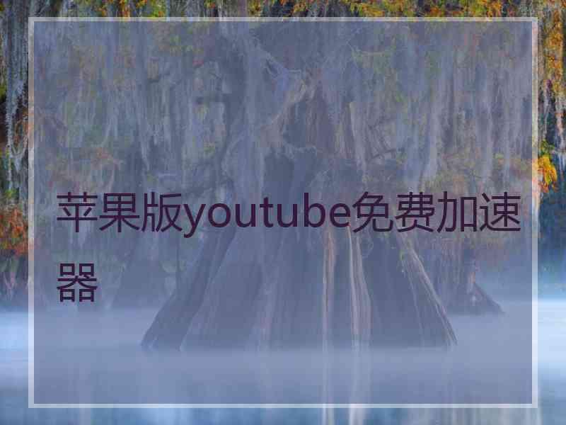 苹果版youtube免费加速器