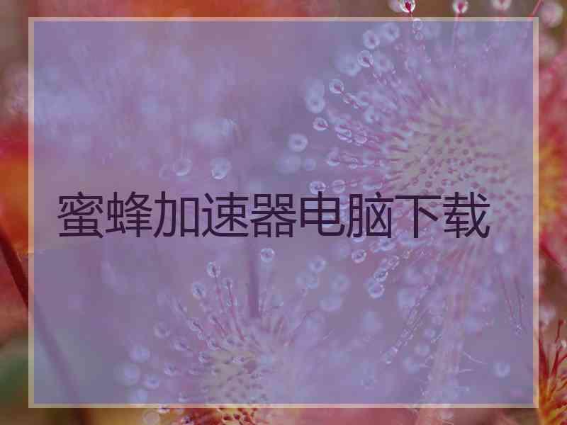 蜜蜂加速器电脑下载