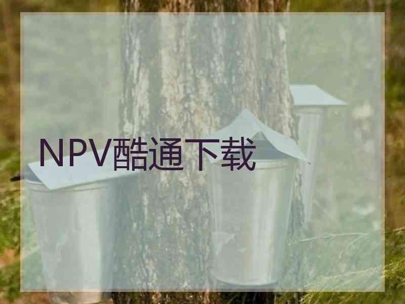 NPV酷通下载