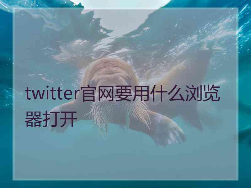 twitter官网要用什么浏览器打开