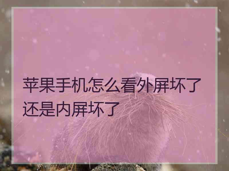 苹果手机怎么看外屏坏了还是内屏坏了