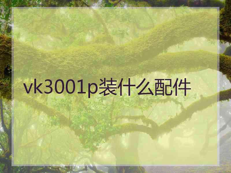 vk3001p装什么配件