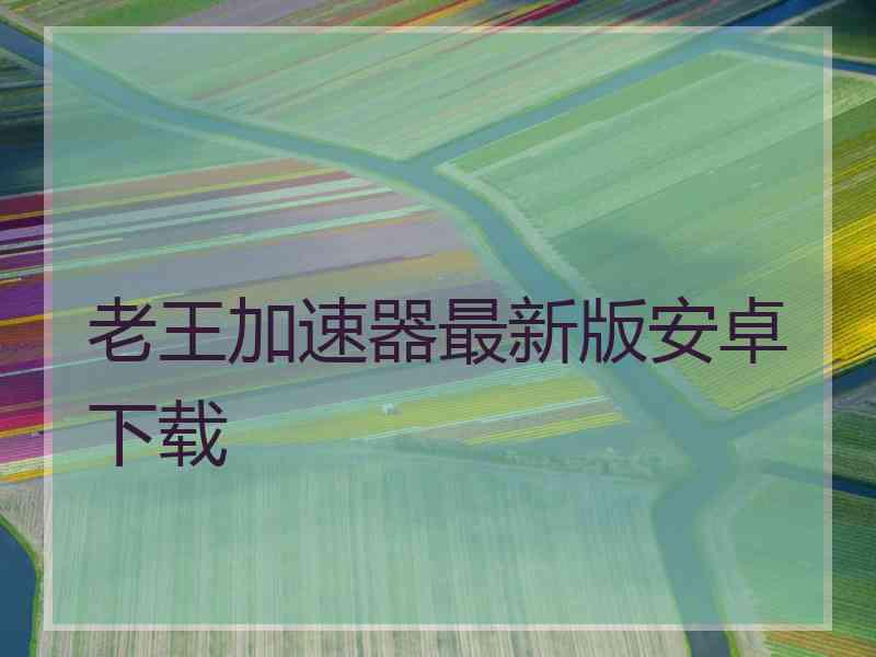 老王加速器最新版安卓下载