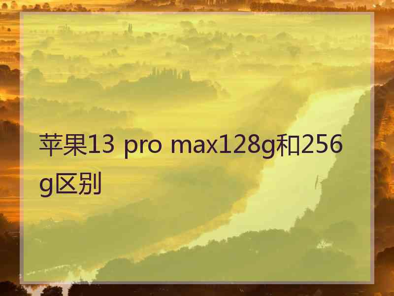 苹果13 pro max128g和256g区别