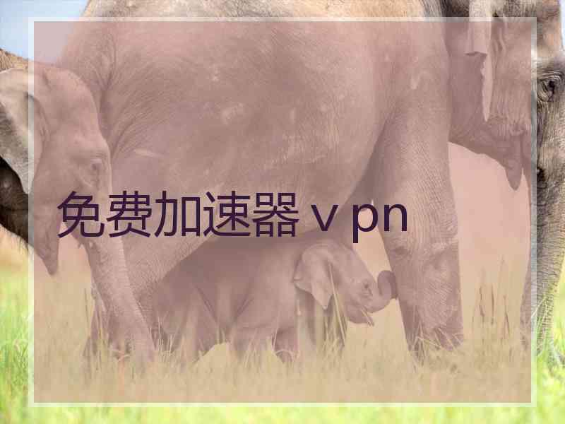 免费加速器ⅴpn