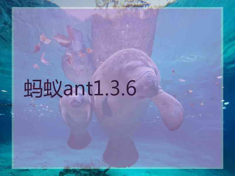 蚂蚁ant1.3.6