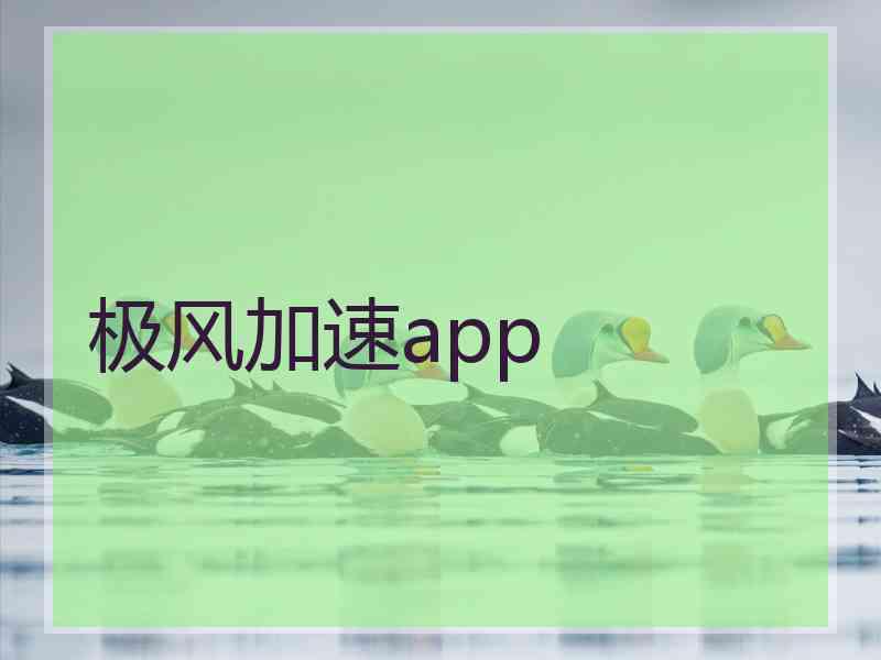 极风加速app