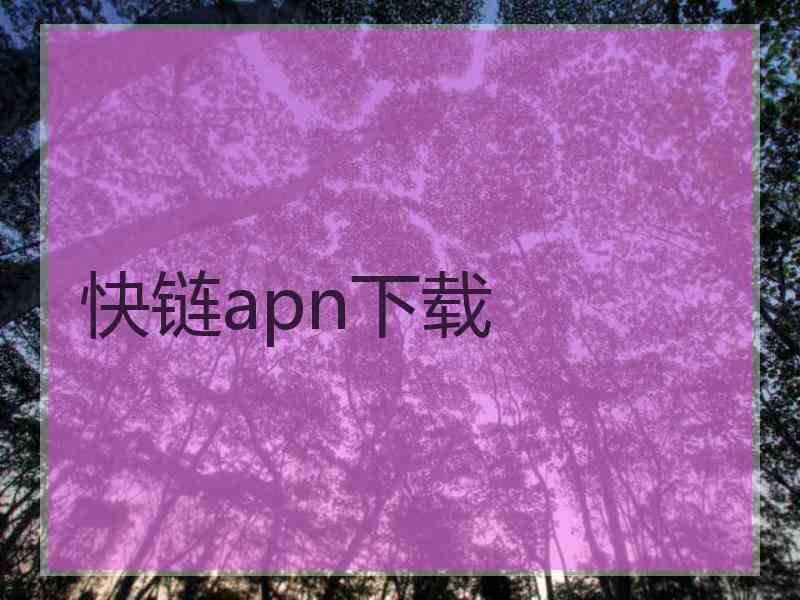 快链apn下载