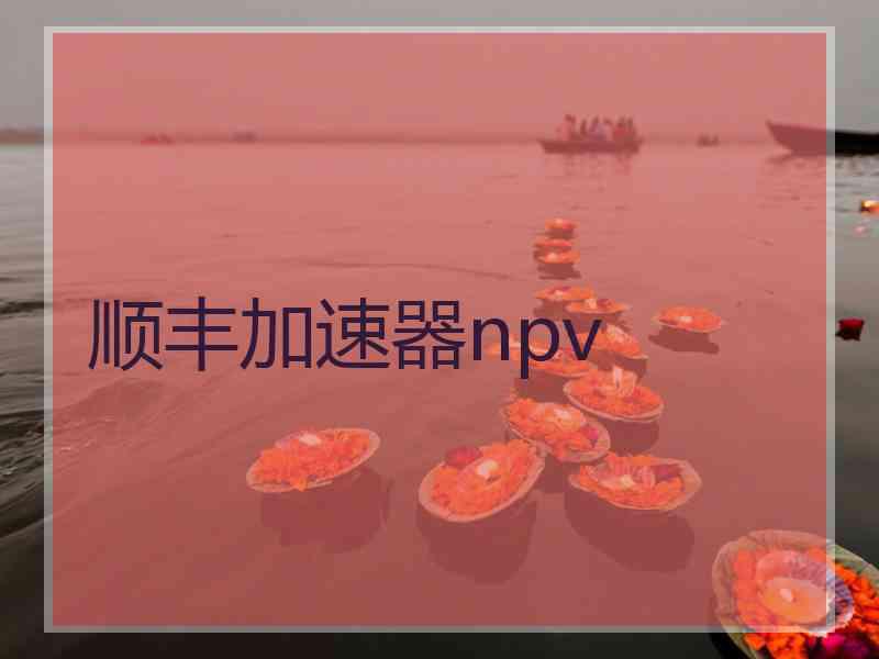 顺丰加速器npv