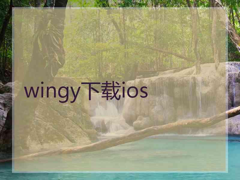 wingy下载ios