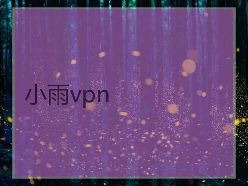 小雨vpn