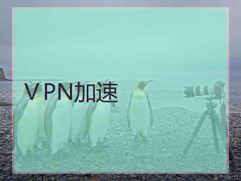 ⅤPN加速