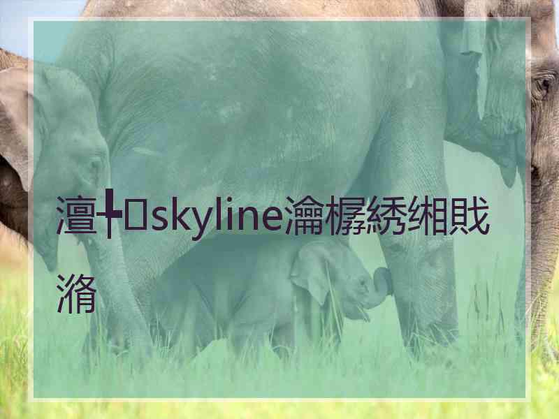 澶╄skyline瀹樼綉缃戝潃