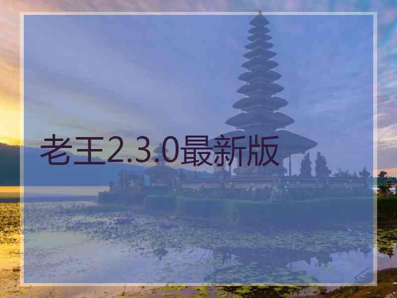 老王2.3.0最新版