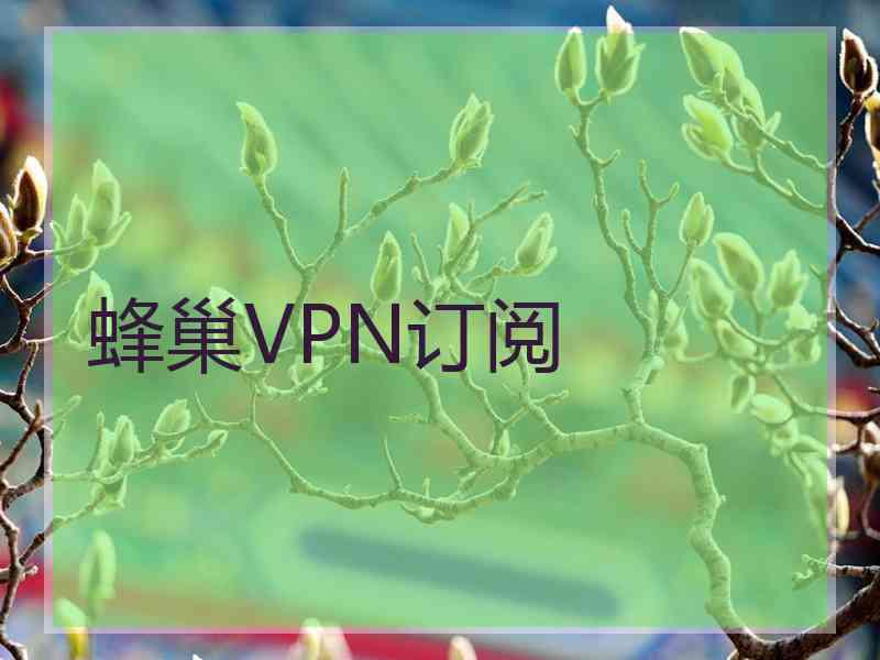 蜂巢VPN订阅