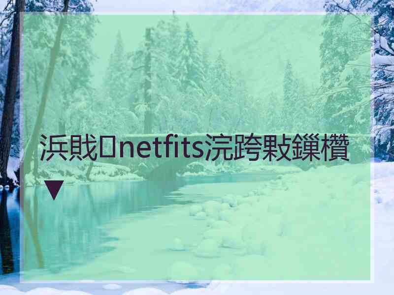 浜戝netfits浣跨敤鏁欑▼