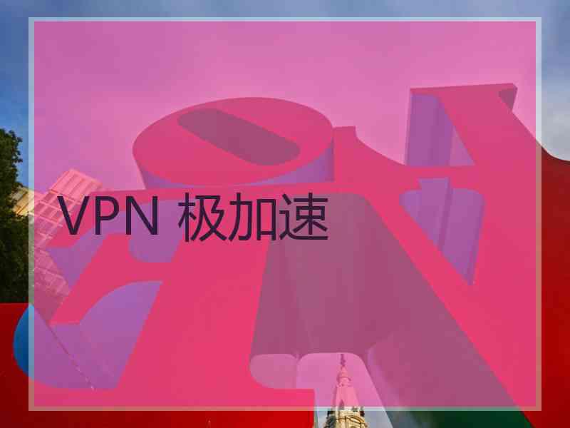 VPN 极加速