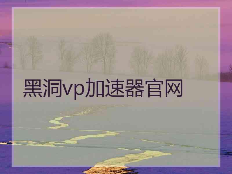 黑洞vp加速器官网